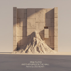 Pink Floyd – Another Brick In The Wall (Ced Bonfi Remix)