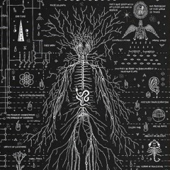 MAWTRIXX  CHUPP*****  @ KALI TRIBE 🔱🔱