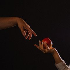 Pomme et jardin