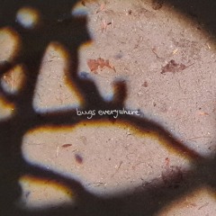 Bugs Everywhere