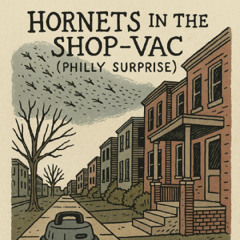 Hornets in the Shop-Vac (Philly Surprise)