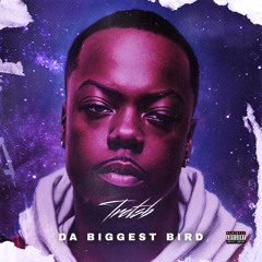 DA BIGGEST BIRD TRE TSB #SLOWED REVERB