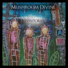 Mushroom Divine - Skies Go Dark (Frank Coleman Remix)