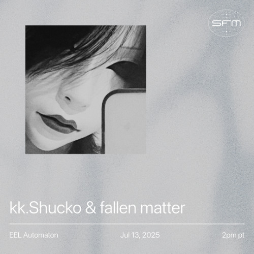 EEL Automaton 14: fallen matter, kk. Shucko