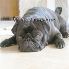 Efectos especiales de sueño profundo