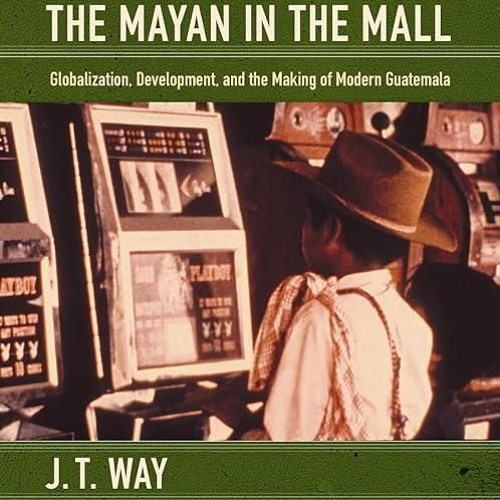 ✔read❤ The Mayan in the Mall: Globalization, Development, and the Making of Modern