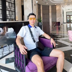 Việt Mix