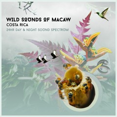 Wild Sounds Of Macaw