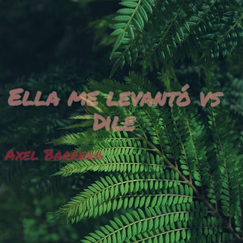 Ella me levantó vs Dile (DJ Axel Barrera Mashup)