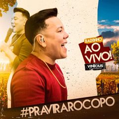 Desculpe Amor