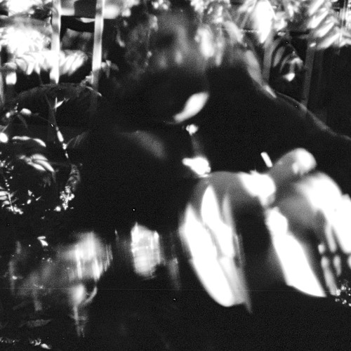 posh- white knuckles