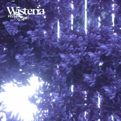 VELLE - Wisteria [Rendah Mag Premiere]