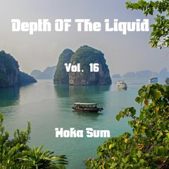 Depth Of The Liquid Vol. 16