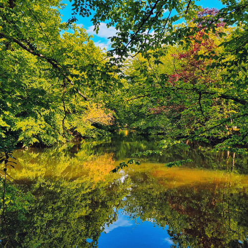 R'S.K.P & DKill - Le Même Refrain