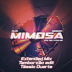 Alok & DENNIS - Mimosa (Now And Forever) [Extended Mix Tamborzão edit Tássio Duarte]