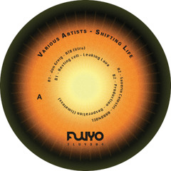 Various Artists - Shifting Life
