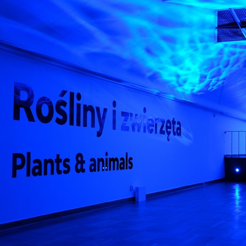 1. Wstęp  –  Wystawa ROŚLINY I ZWIERZĘTA