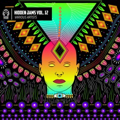 Various Artists - Hidden Jams Vol. 12