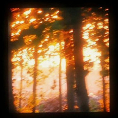 Been That [prod. aura]