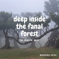 Malik - Deep Inside The Fanal Forest