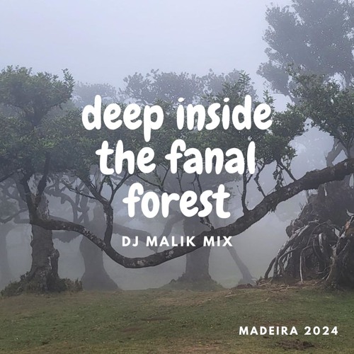 Malik - Deep Inside The Fanal Forest