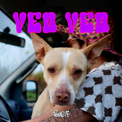 VEO VEO
