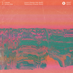 Propulse - Corium (Zachary Gray Remix) [taken from Corium / Palindromes Remixes]