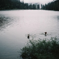 Flosse b2b Kessi | Seepferdchen angeln zur Afterhour 03.08.2025