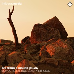 Mr Nitro & Higher (Than) - Beauty Is Broken