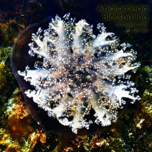 Andromeda Blossoming (underwater remix) [disquiet0455]