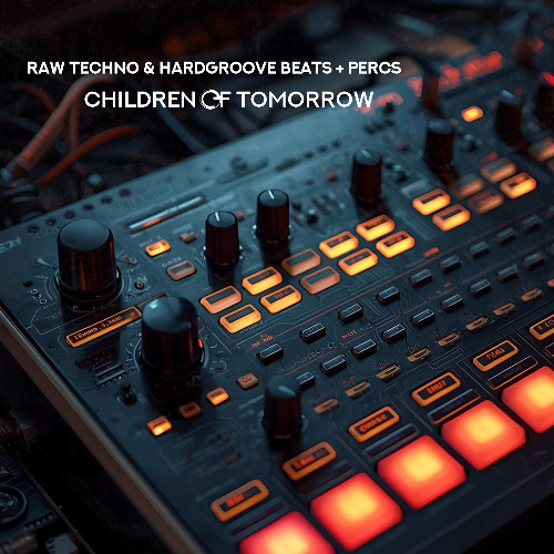 Raw Techno & Hardgroove Beats + Percs - Samples Pack