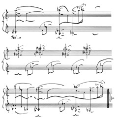 TINY NOCTURNE