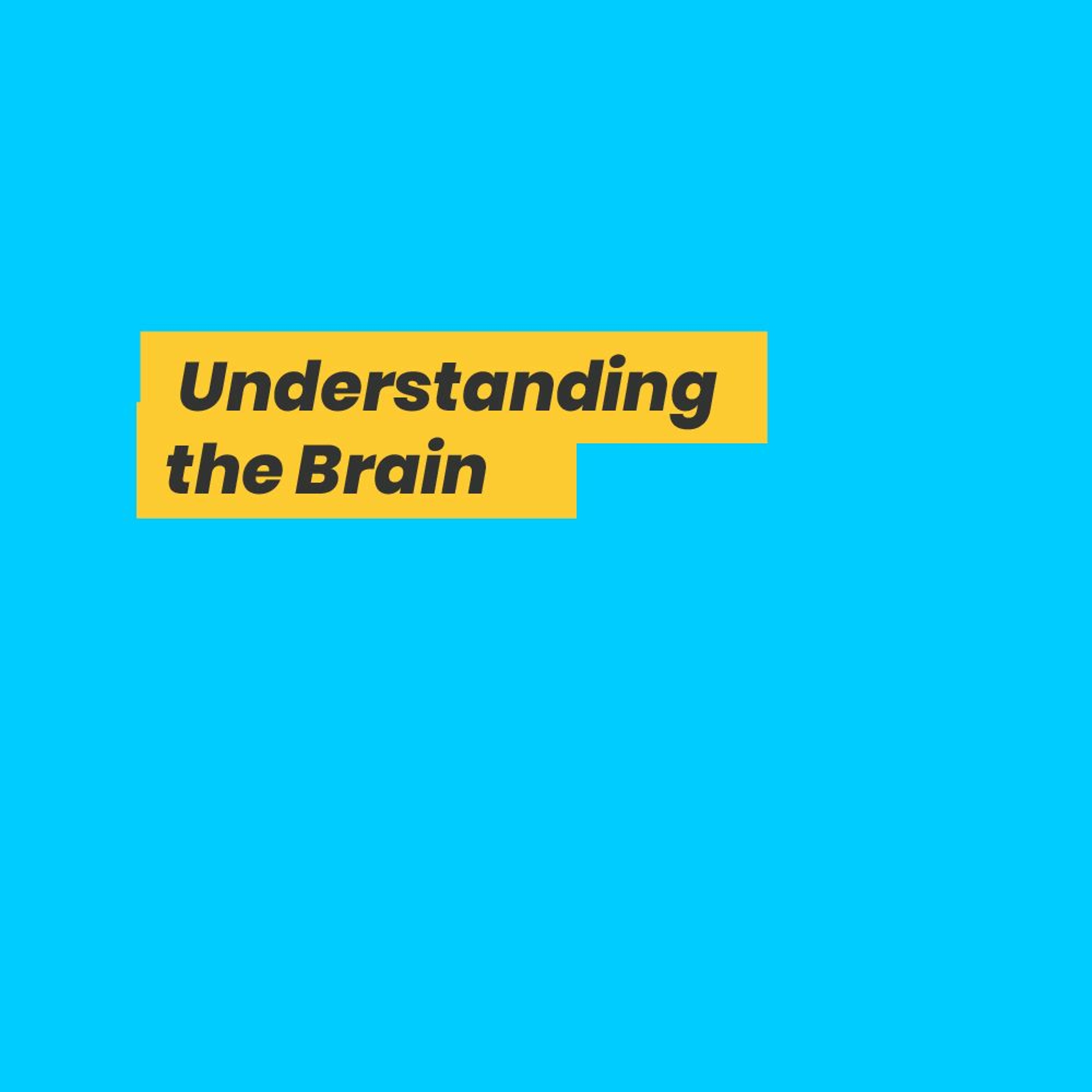 The Monthly Dose - Febo