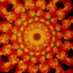 renaissance hypnotism