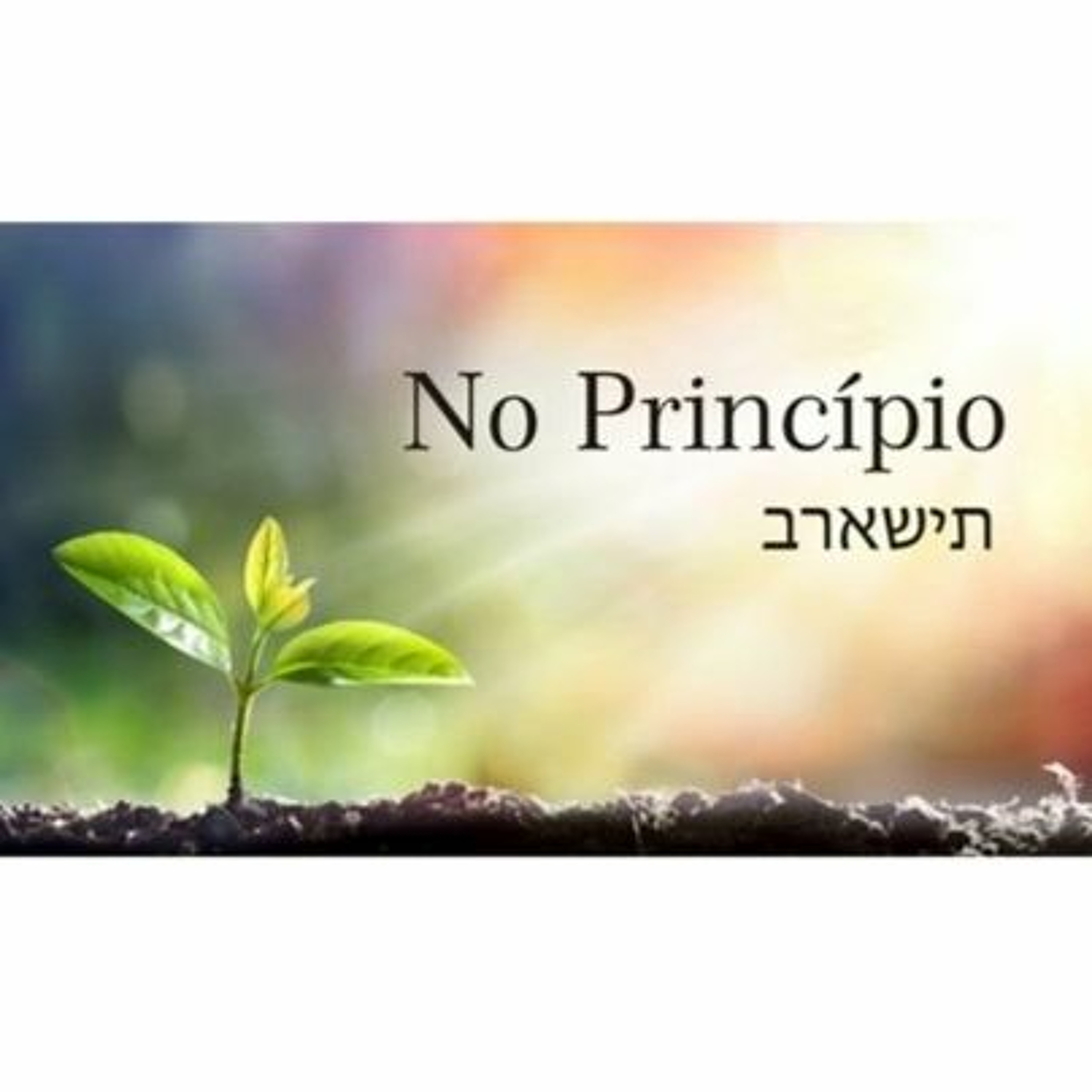 NO PRINCÍPIO - 5 de 5 - A Realidade e a missão