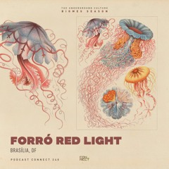 Forró Red Light @ Podcast Connect #240 - Brasília, DF