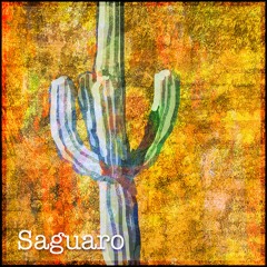 Saguaro