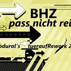 BHZ - Pass nicht rein  (Subdural's TueraufRmx)