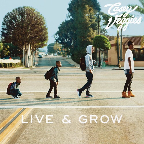 RIP (feat. Tyler, The Creator) by Casey Veggies Free Listening on