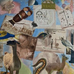 Premiere: Rapossa - Animal Tribes [Lostcolors]