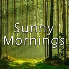 Sunny Mornings