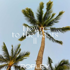 Down to the Roots 2 | Afro & Organic House Mix | 07.03.25