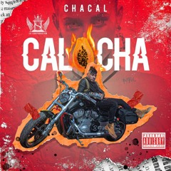 Chacal - Calocha