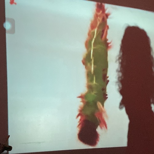 PROJECTED FANTASIES MIX