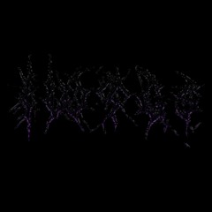 shVts All Songs