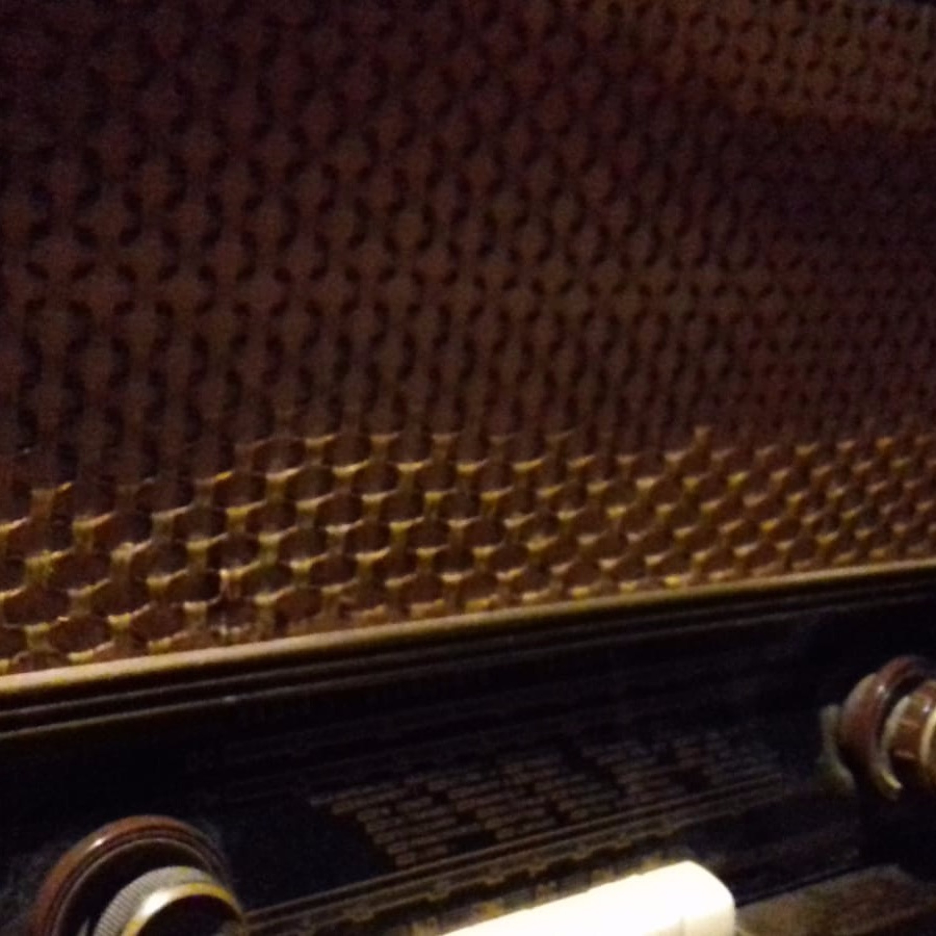 Podcast di Radio Ribalta