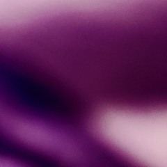 THE RABBIT HOLE [02]
