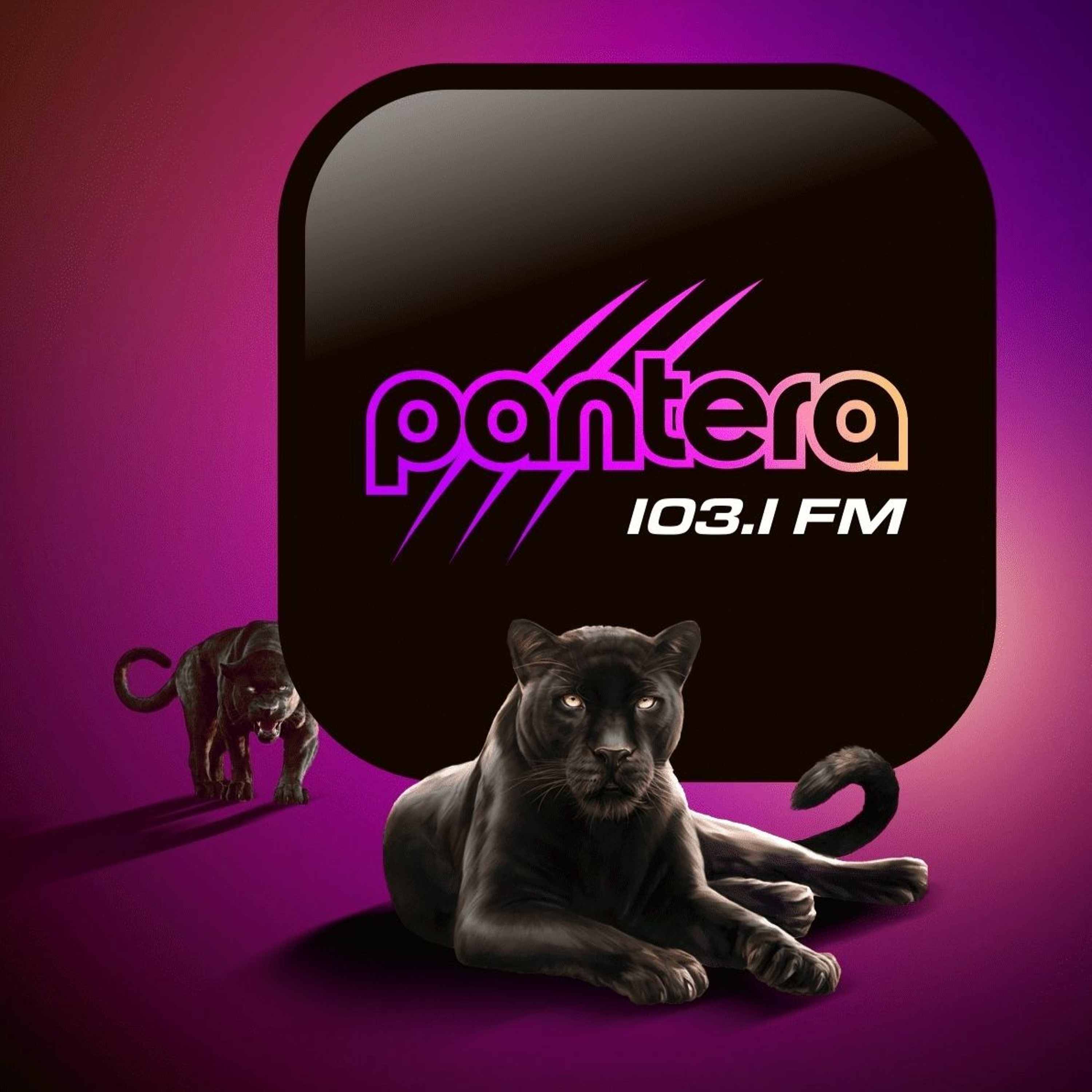 PANTERA FM- 103.1 - EL PUYO- ECUADOR episode artwork