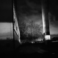 Elvin Key @ 137 Rave | One Hour Laasdorf Vibes 26.11.22