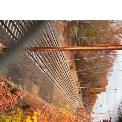 bootstrap lucy on the dynamite coaster (demo)